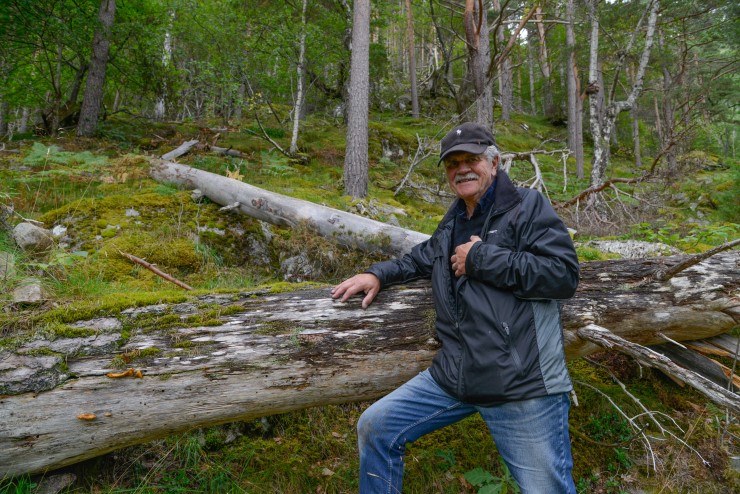Mann i skogen. 
