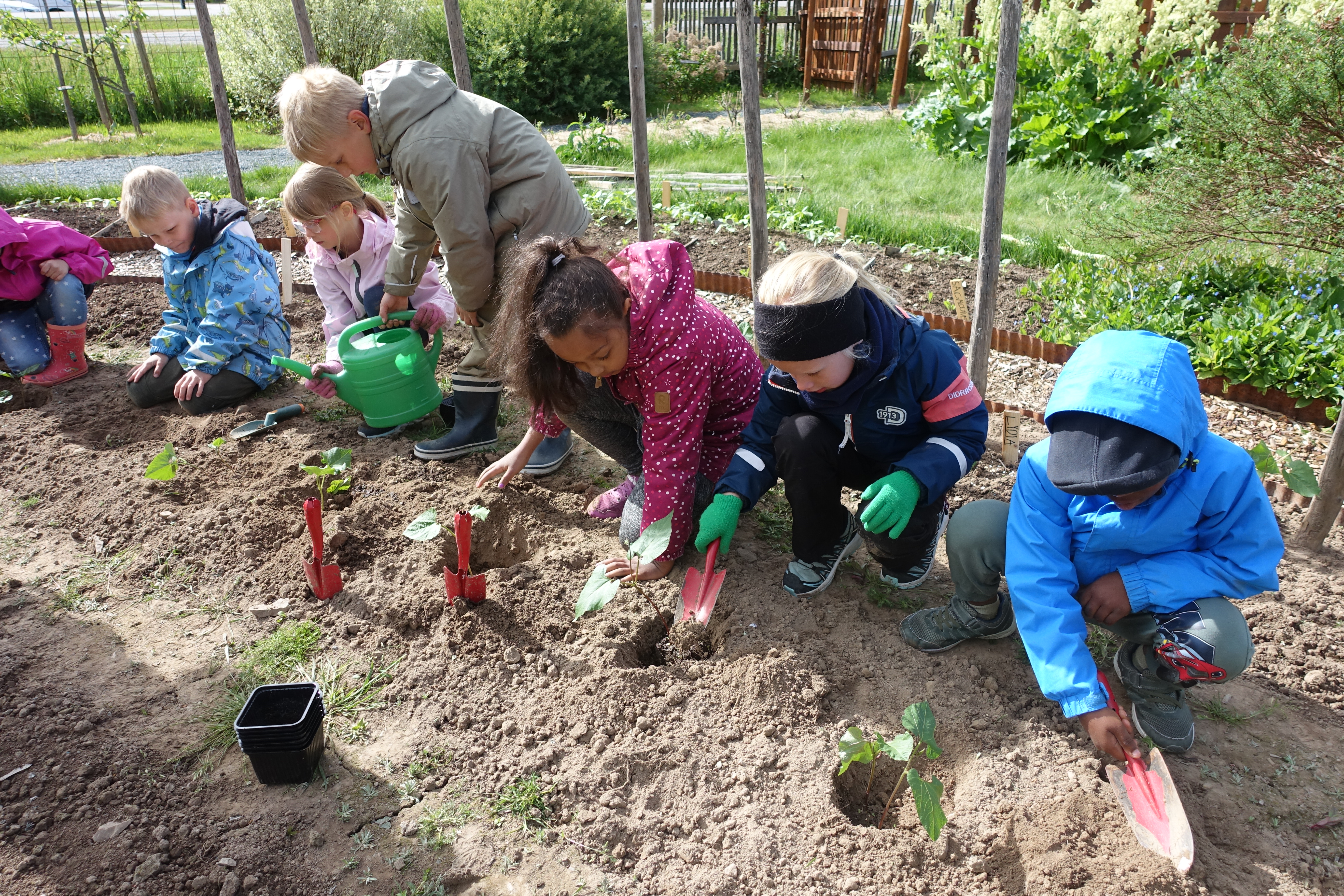 Barn som planter og vanner grønnsaker 