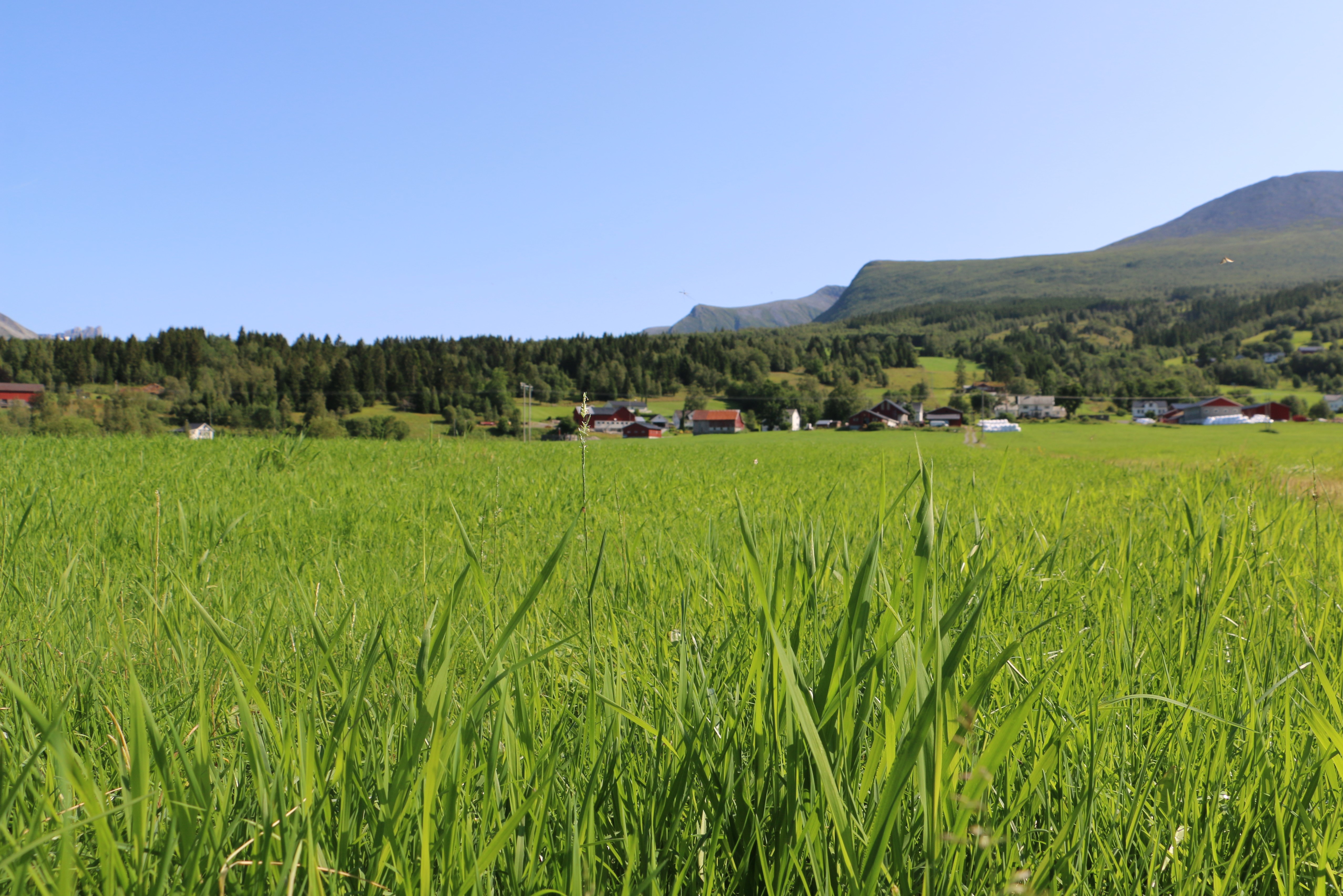 Bjørdalen, Ørsta