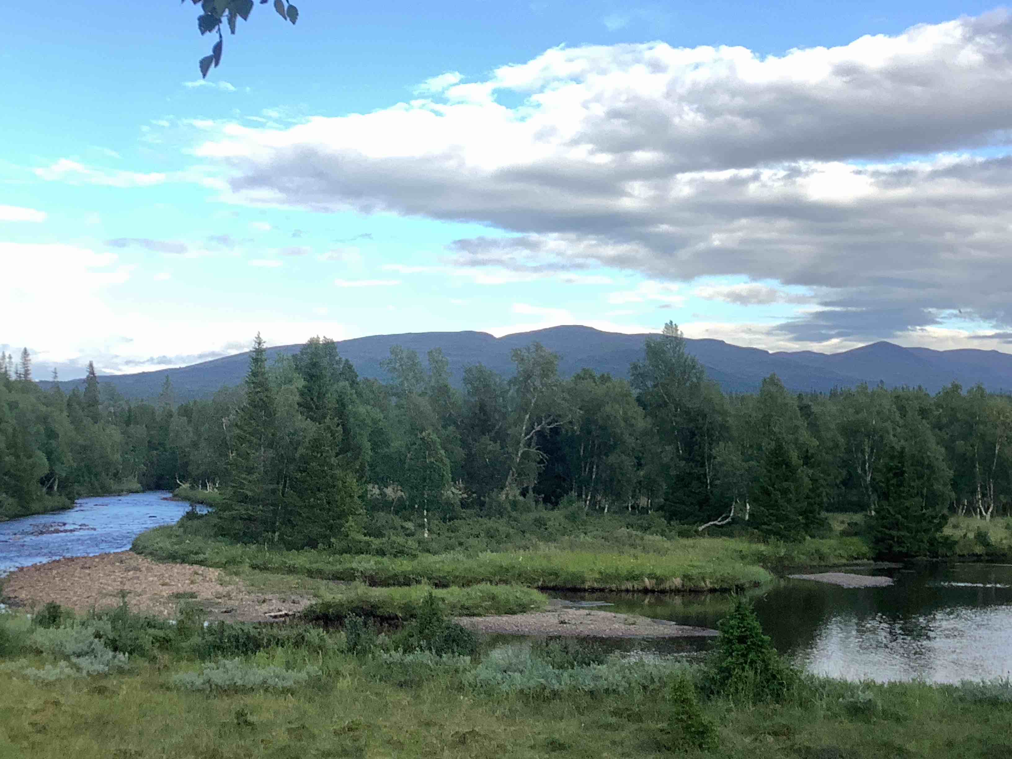 Foto av en elv med skog langs elvekanten. Lutra_Biofokus_Solfrid Helene Lien Langmo.jpeg