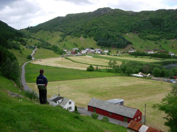 Utsikt mot gardsbruk med dyrka mark og fjellsider med ulike treslag.