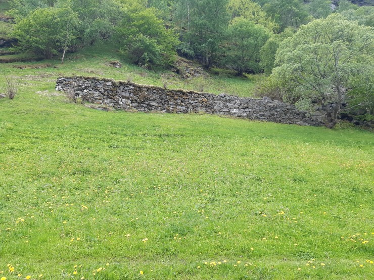 Skog, eng og steinmur