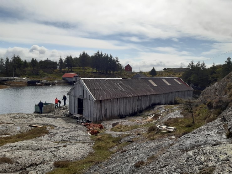 Berg, sjø, himmel, grantrær, grindenaust
