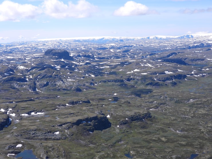 Fjellområda kring Hårteigen var lenge det tradisjonelle kalvingsområdet for reinsdyrstamma på Hardangervidda. På 1990-talet endra dette seg, og reinen tok til å kalve i Telemark i staden. Kvifor dette endra seg er det ingen som veit sikkert, men vi kan ikkje sjå vekk ifrå at menneske si ferdsle i fjellet kan vere ein medverkande faktor. 