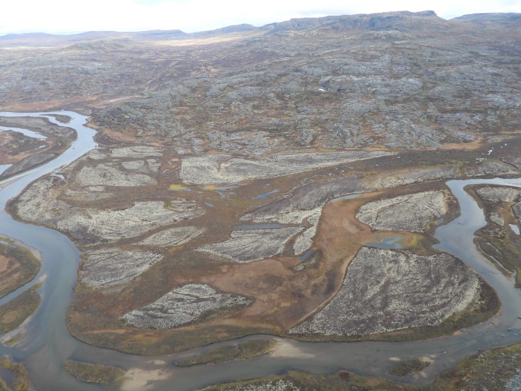 Det er svært mykje vatn og våtmark på Hardangervidda. Berggrunnen er mange stader rik, og det gjer at vasskvaliteten er god. Desse våtmarkene er viktige levestader for mange artar våtmarksfugl. Biletet viser Hadlaskardmyrane i Eidfjord kommune. 