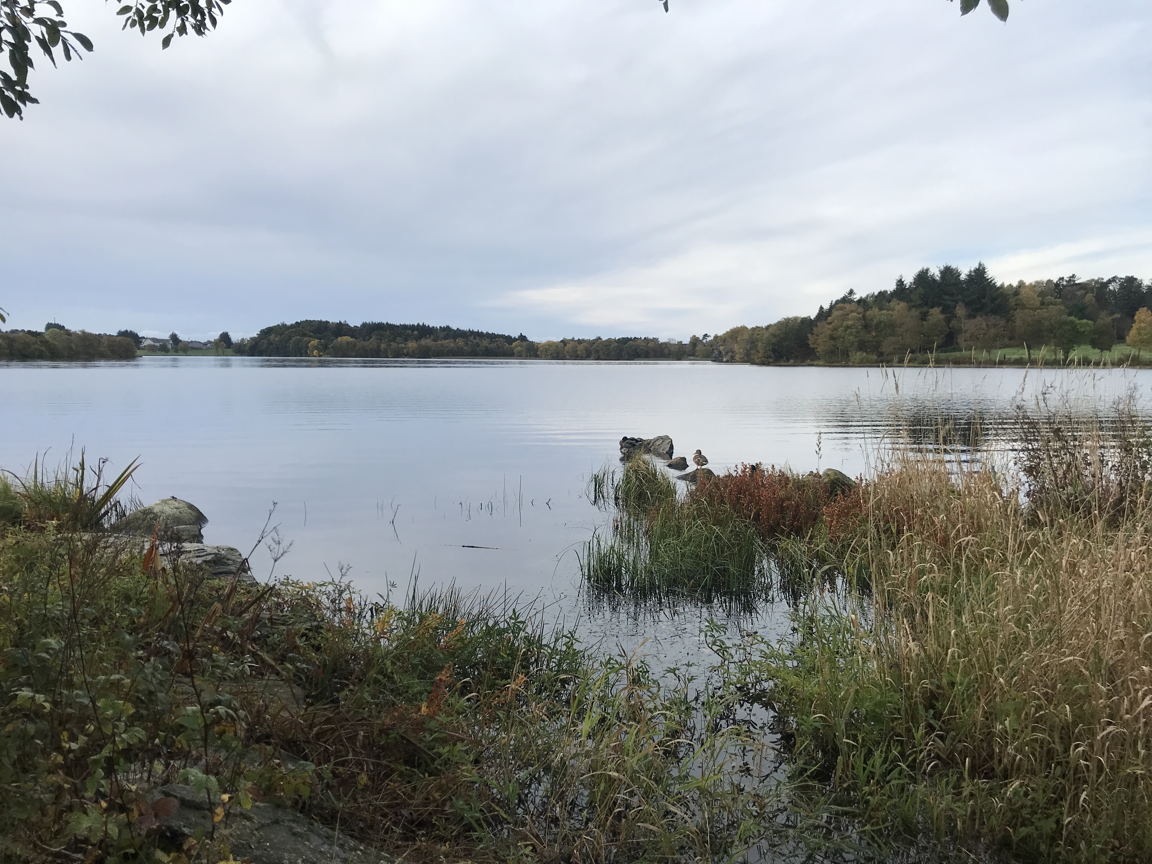 Utsyn over Hålandsvatnet.
