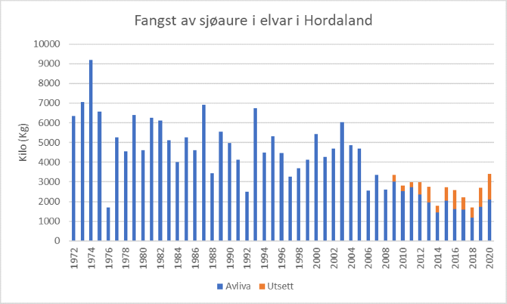 Fangst av sjøaure i elvar i Hordaland i perioden 1972 - 2020.