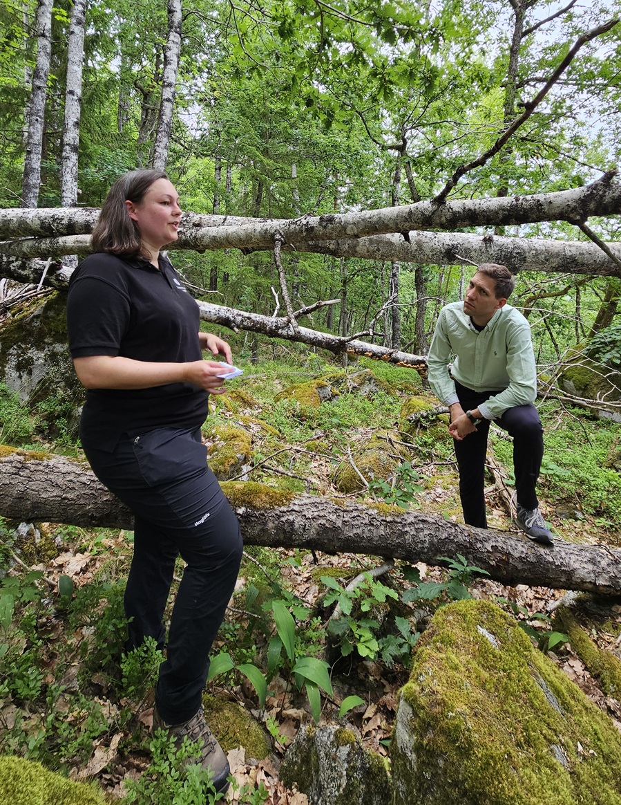 Eleanor M. Charnock fra Statsforvalteren i Agder forteller statsråd Bjelland Eriksen om verneverdier i Morkheia naturreservat