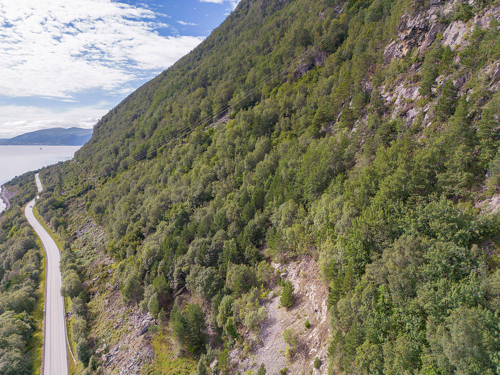 Grøn skog i ei bratt fjellside. En bilveg ligg ved botnen av fjellsida. Sjø og fjell i bakgrunnen.