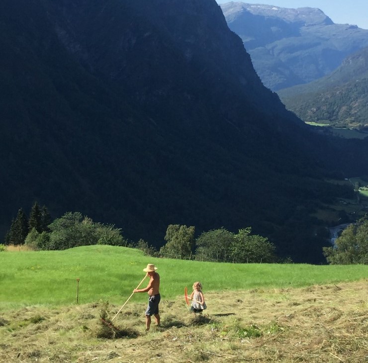 Bier og blomstrar treng kvarandre i eit spennande samspel der begge "tener" på samarbeidet med kvarandre. Slåttemark, som denne på høgdegarden Ormelid i Luster, har eit stort artsmangfald av blomster. Disse treng ville, pollinerande insekt for å kunne frø seg. Sjekk gjerne ut om det er ein slåttedugnad nær deg du kan delta på? 