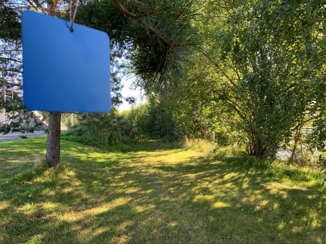 Bilde fra stien bak Vikingskipet i Åkersvika naturreservat.