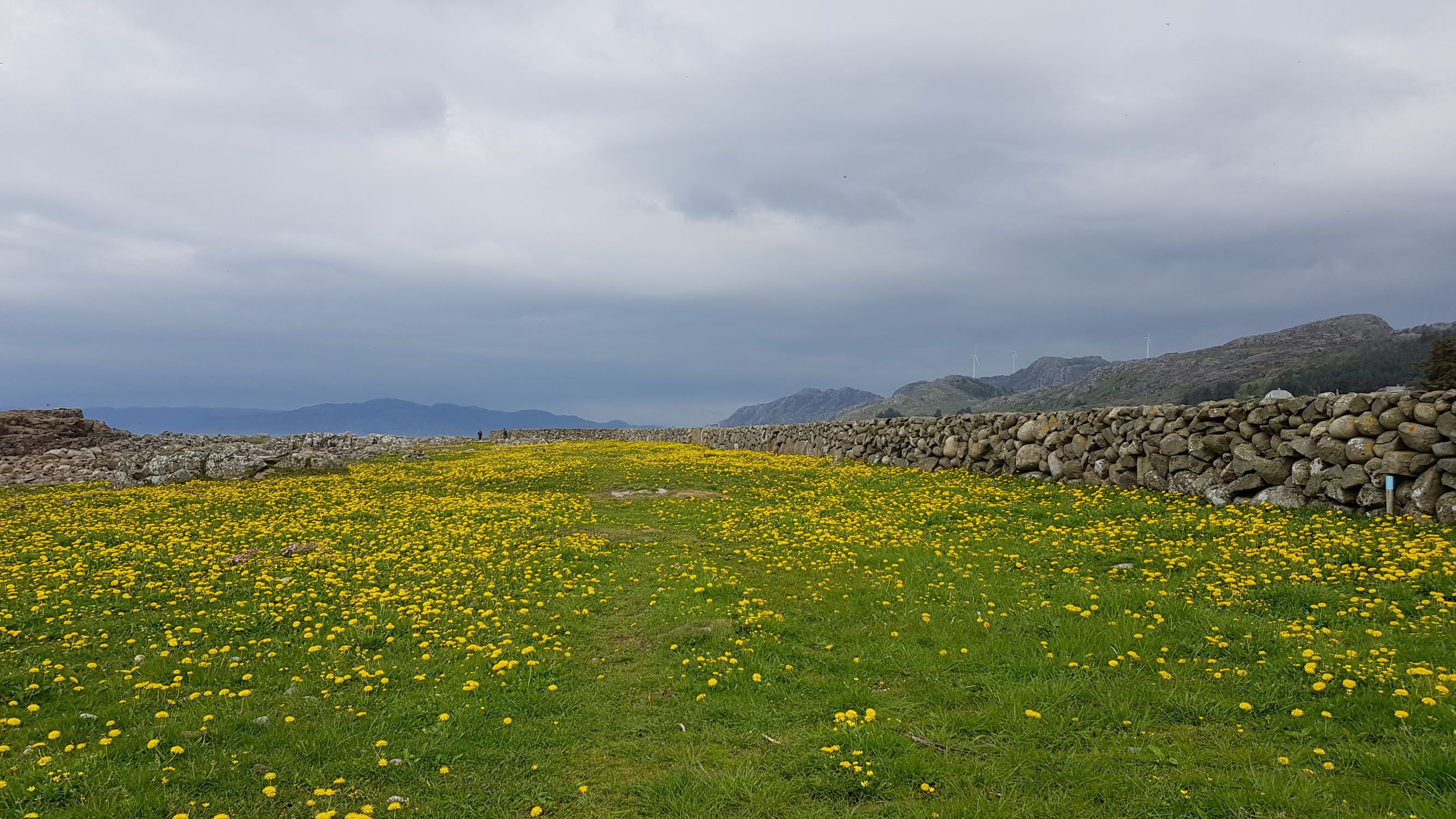 Steingjerde langs kyststien på Kjølleberg.