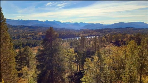 Viser skog, vatn og fjell