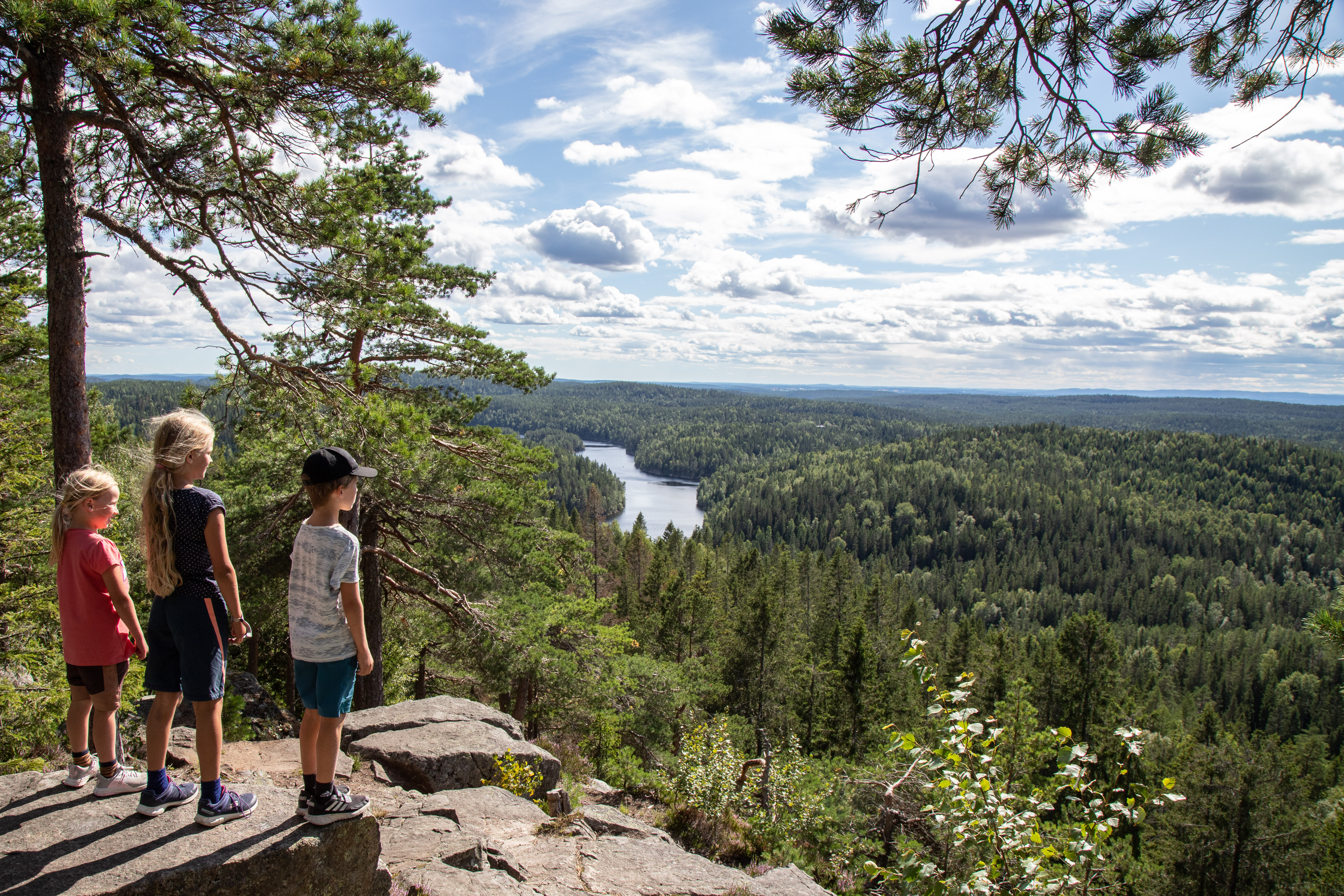 Tre barn står på  Tonekollen i Østmarka og ser utover skogen og Mosjøen. 