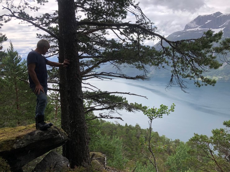 Grunneigar kikker ut over terrenget mellom fjord og fjell aust for Hunvika i Stad kommune. Han og tre andre i felleseiget har tilbydd området til vern som naturreservat. 