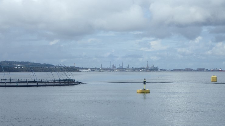 Matfiskanlegg i sjø med industripiper i bakgrunnen
