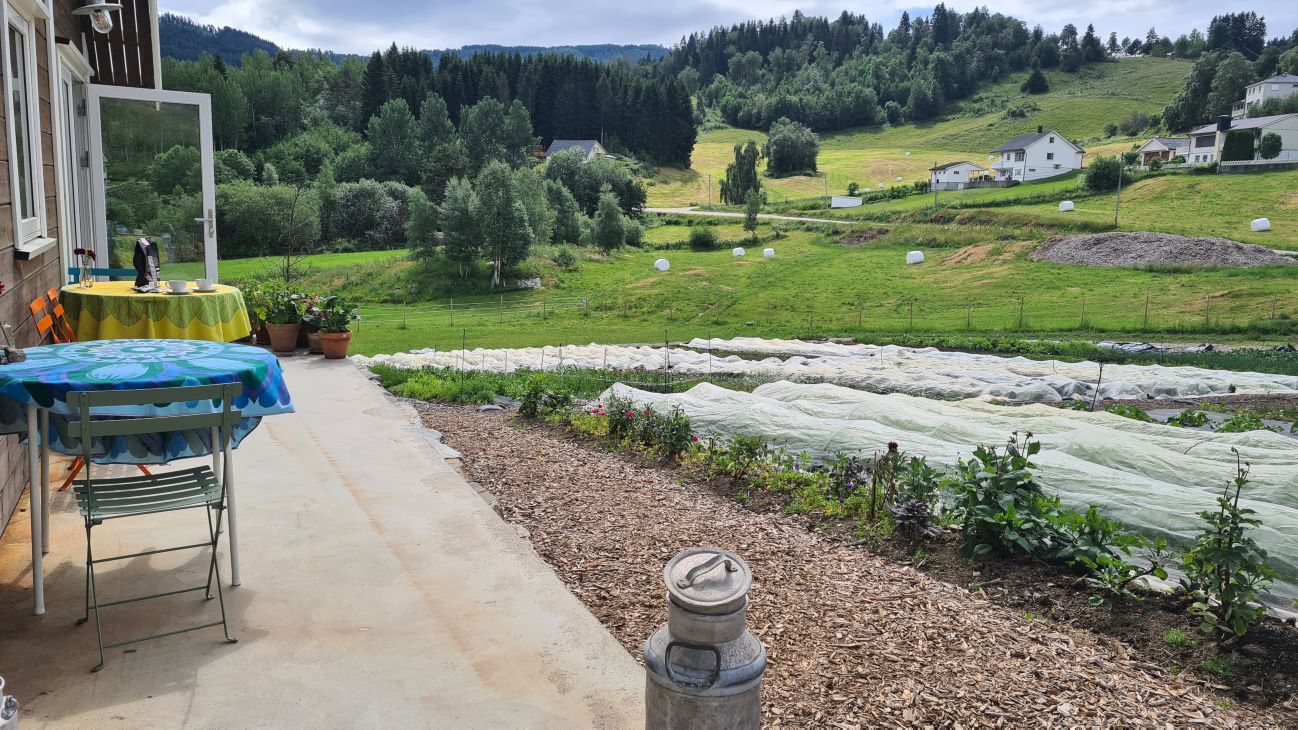 Bord til høgre, på betonggolv, mjølkespann i forgrunnen, og rader med grønnsaker tildekte med insektsduk