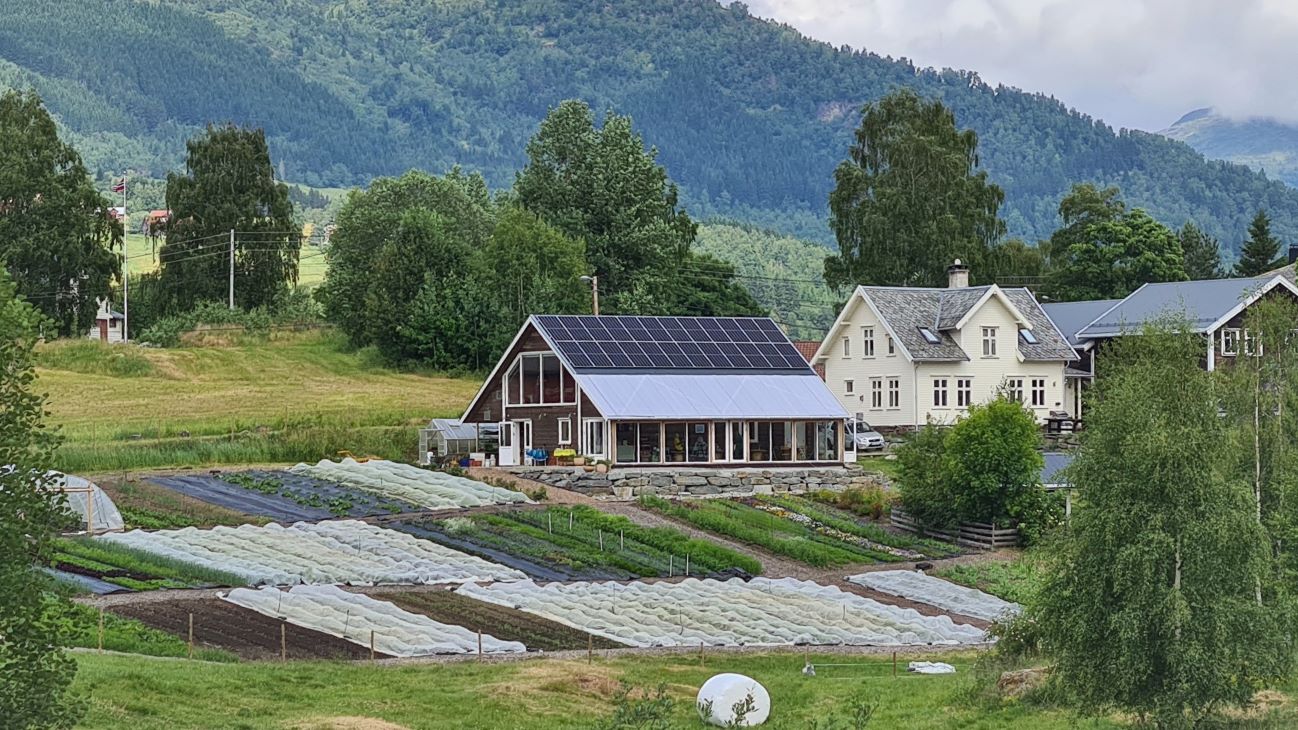 Grønsaksbed i gårdslandskap