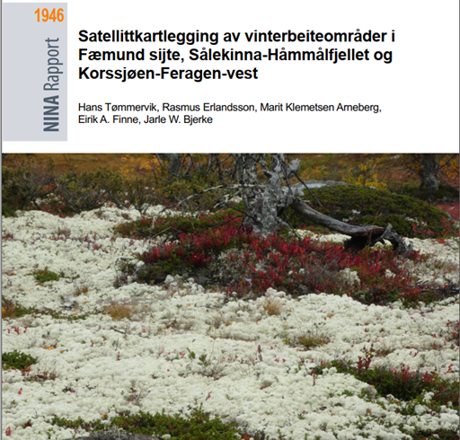 Fremside av rapport