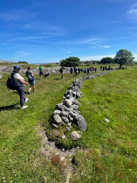 Beitelandskap