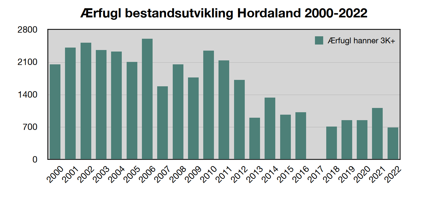 Grafen syner utviklinga av observerte hannar av ærfugl i perioden 2000 - 2022 i skjergarden i heile Askøy kommune, store delar av Øygarden kommune, fjordane kring Osterøy og eit kystavsnitt i Bjørnafjorden kommune. Trenden er tydeleg nedadgåande. 