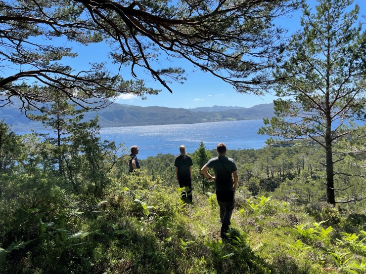 tre mennesker ser utover et skogs- og fjordlandskap