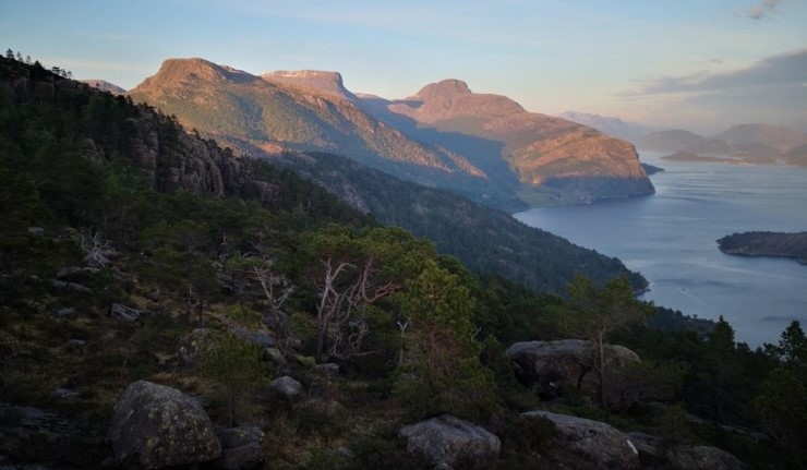 I Vestland har vi 22 ulike vegetasjonsgeografiske regionar. I Danmark finst to. Variasjonen i naturen i fylket er veldig vid.  Ei av oppgåvene til Statsforvaltaren er å sikre eit representativt utval av norsk natur for komande generasjonar. Biletet syner eit intakt og større naturlandskap nord for Florø, med Terdalen i det fjerne. 