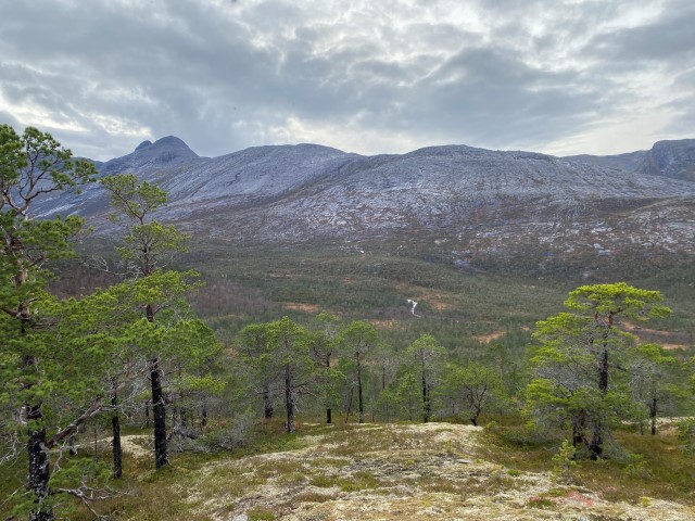 Kilvasskogen