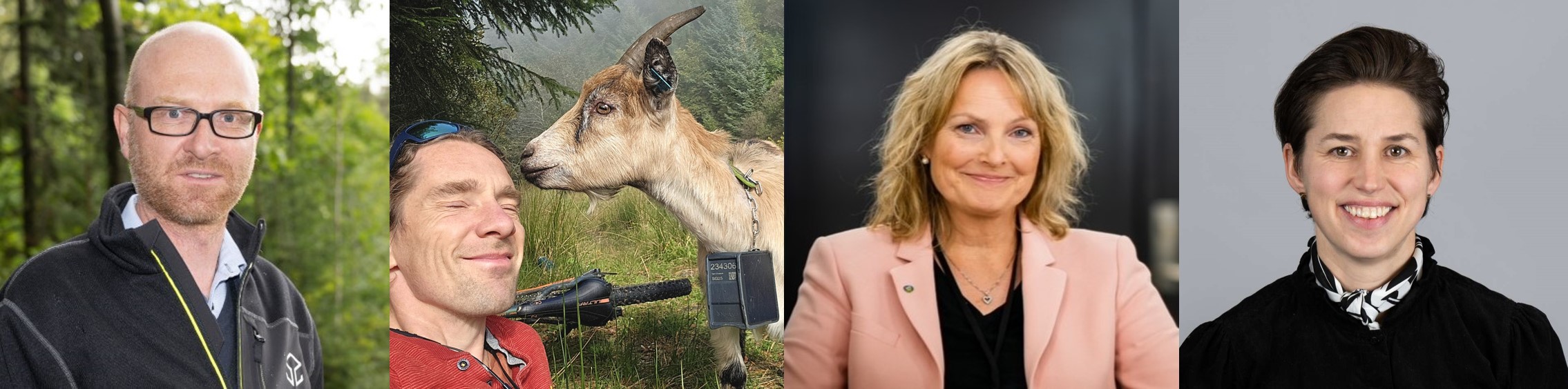 Fra venstre: Forsker hos NIBIO Marius Hauglin (Foto: Erling Fløystad), leder for avd. landbruk ved Bjørnarfjorden landbrukskontor Simon Wolff (Foto: Simon Wolff), Prosjektleder i Snåsa kommune Trine Hasvang Vaag (Foto: TV2) og Fagdirektør seksjon skog ved Landbruksdirektoratet Turid Asklund Trôtscher (Foto: Torbjørn Tandberg). Collage 2.jpg