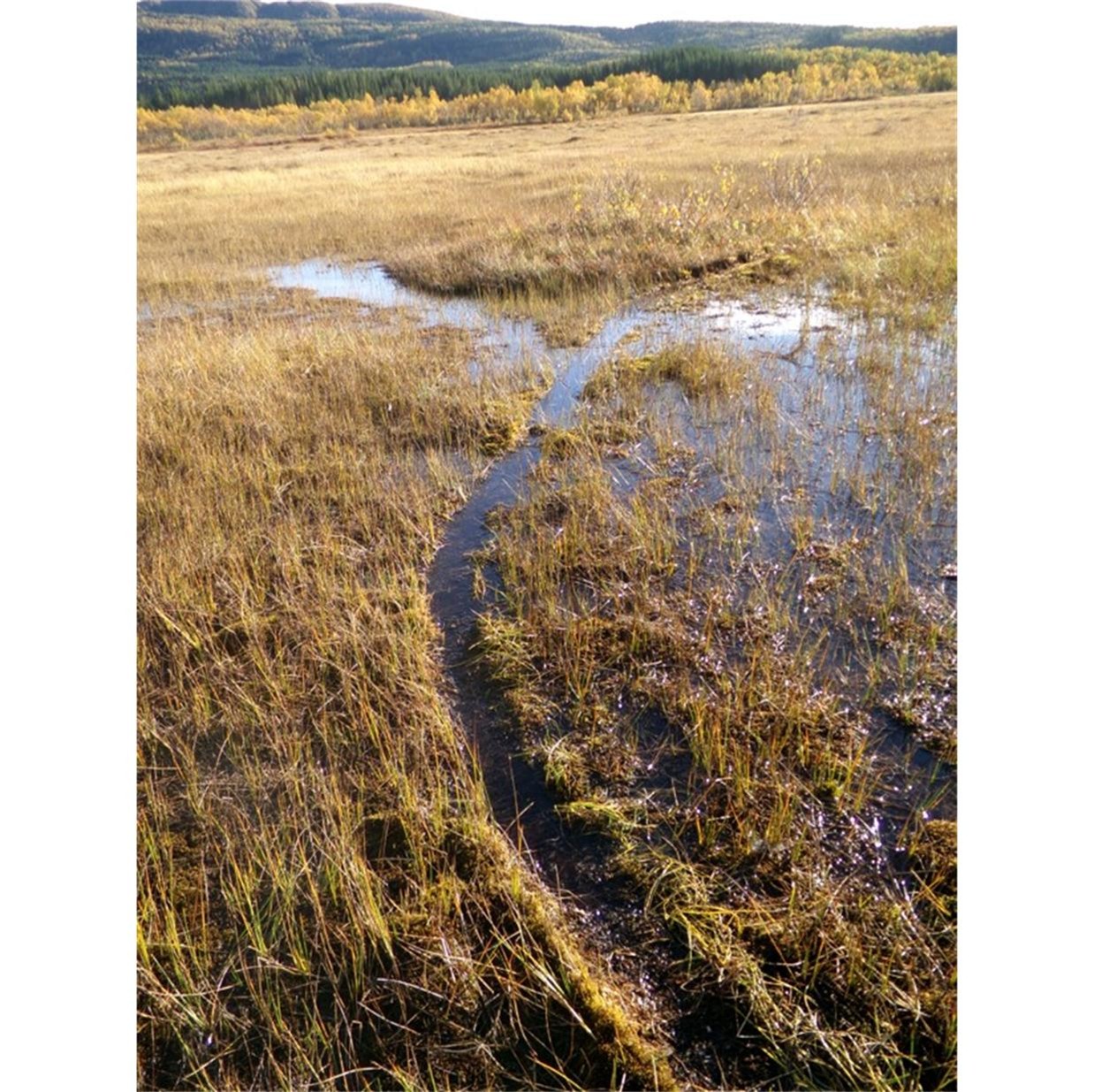 Sporet etter en 30 meter lang lense på land/ (og i vann).