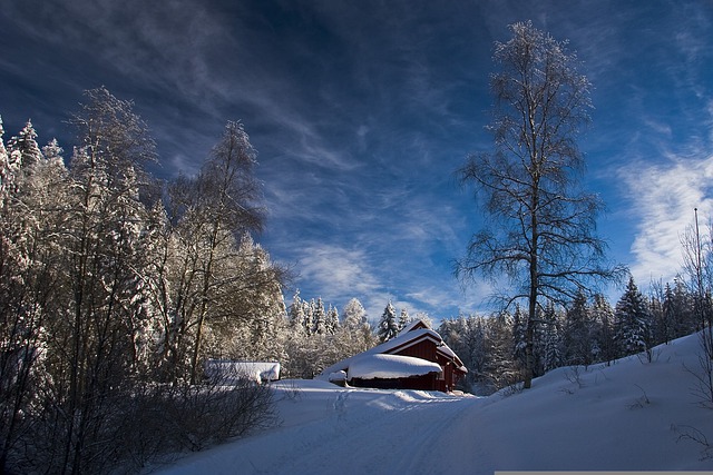 Illustrasjonsbilete av ei snødekt hytte i vinterlandskap.