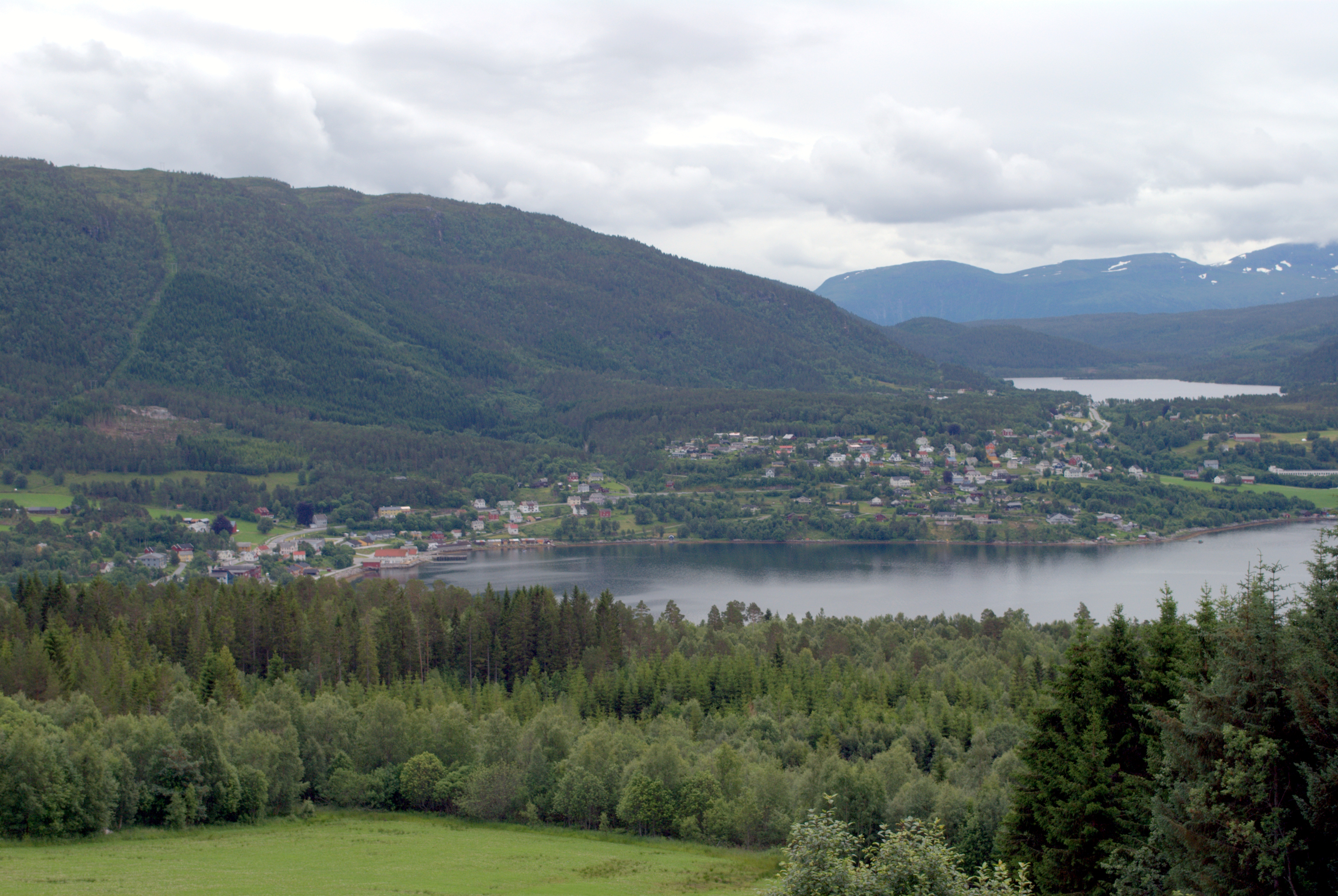 Foto frå Tingvollvågen, skog framme i bildet, vågen bak. 