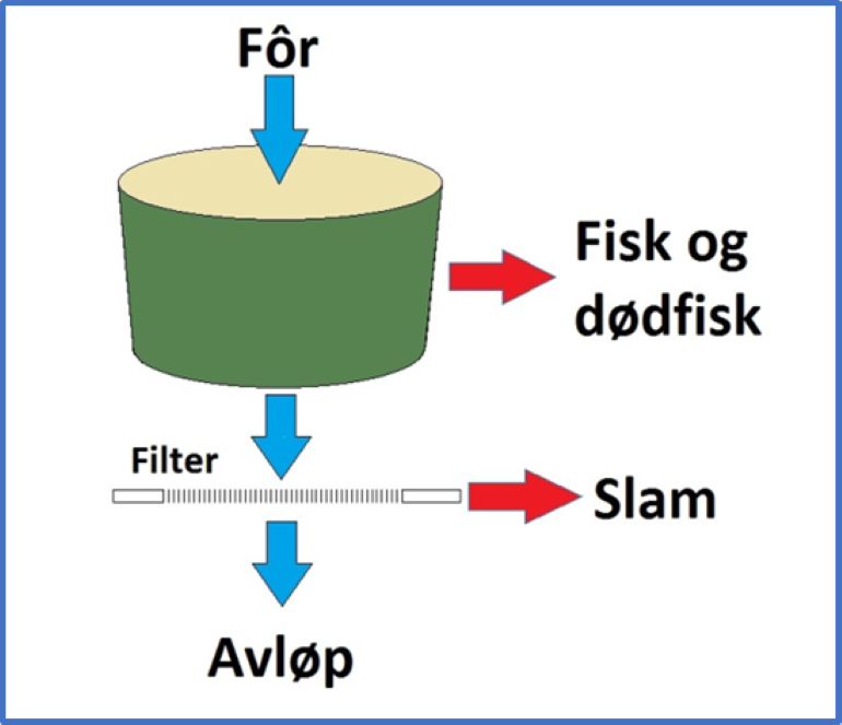 Figur som viser piler og straumar av fisk, dødfisk, slam og avløp
