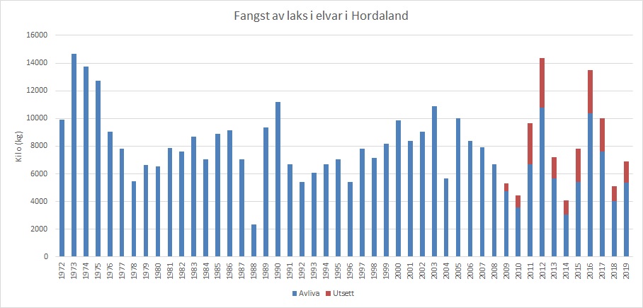 Fangst av laks i vassdrag i Hordaland