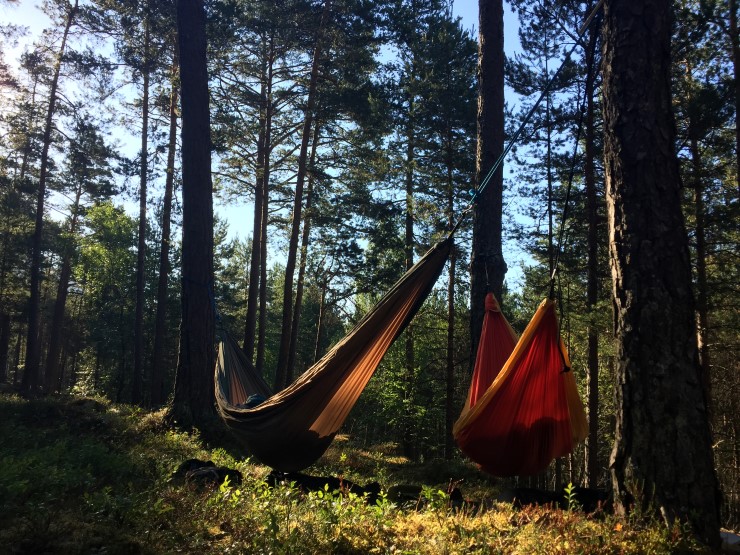 Ein tur ut i skogen senker pulsen og kan redusere mentalt stress. Under pandemien er det mange som har vore meir ute i friluft enn tidlegare. Utan tre hadde det vore vanskeleg å henge opp hengekøya. 