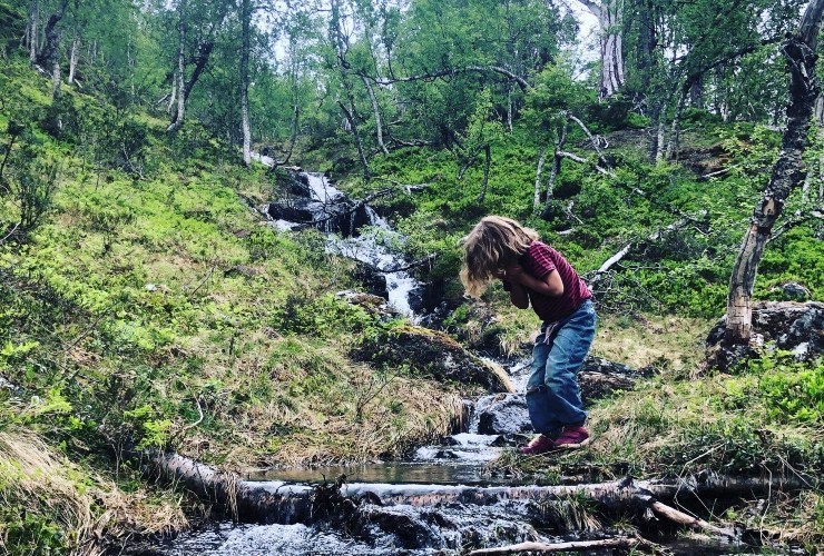 Når det snør eller regnar tek skogen opp store mengder vatn i jordbotnen. Overskotet renn nedover i landskapet i bekkar og elver og gir oss reint vatn. Utan skogen ville vatnet ha ført til erosjon og auka fare for ras og skred. Dette er noko av det vi kallar økosystemtenester. 