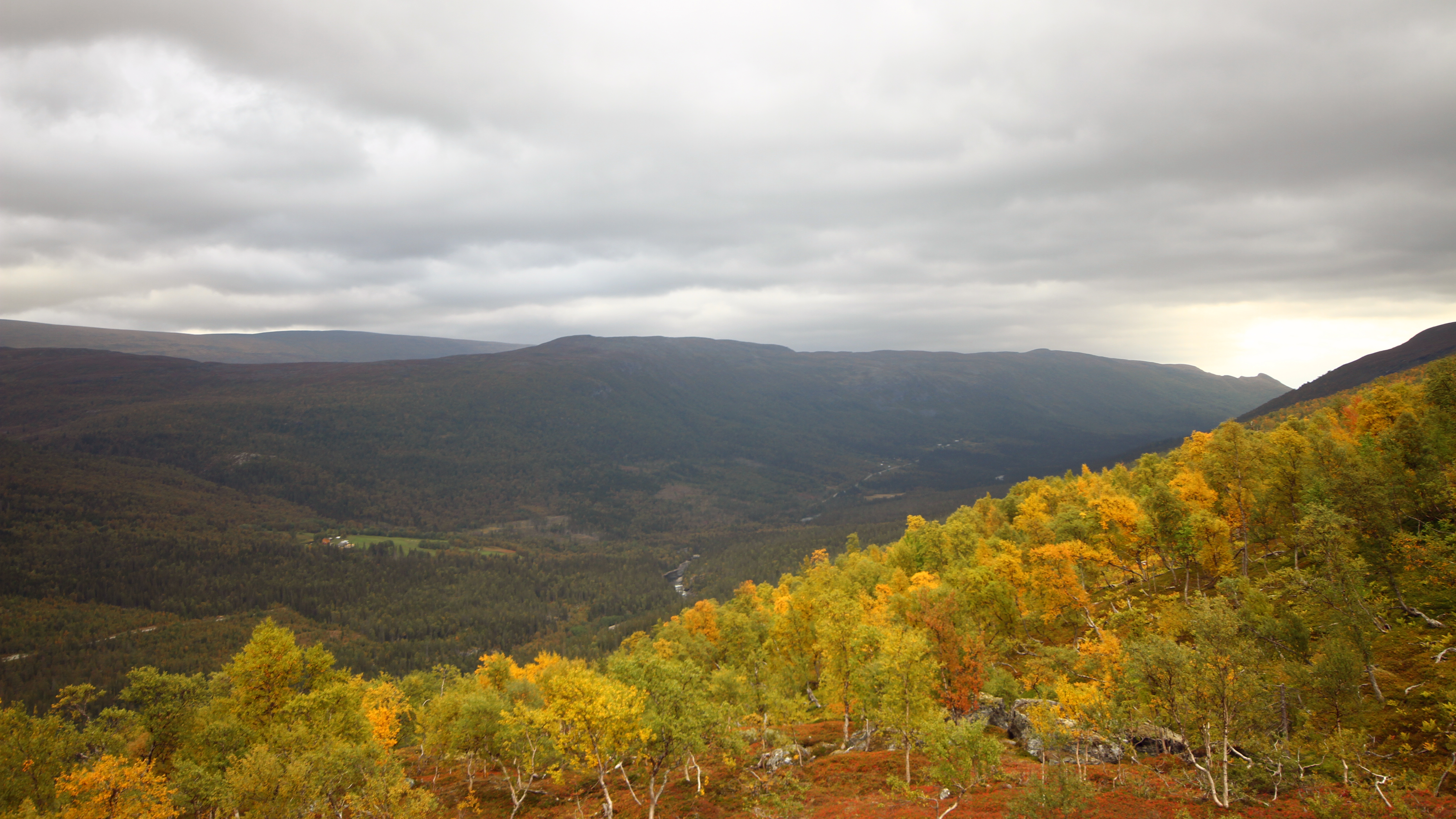Nybrot økologisk fjellgård ligger idyllisk til i Skarmodalen i Hattfjelldal kommune.