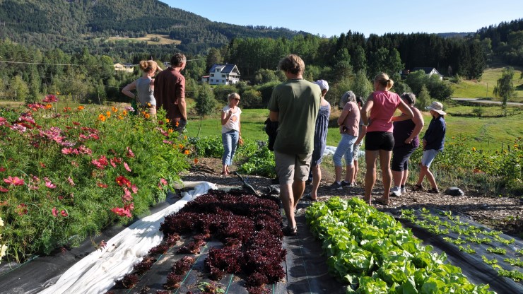 Markvandring på Bøtun gard i Luster sommaren 2021 var til stor inspirasjon for dei ferske marknadshageprodusentane frå Vestland 