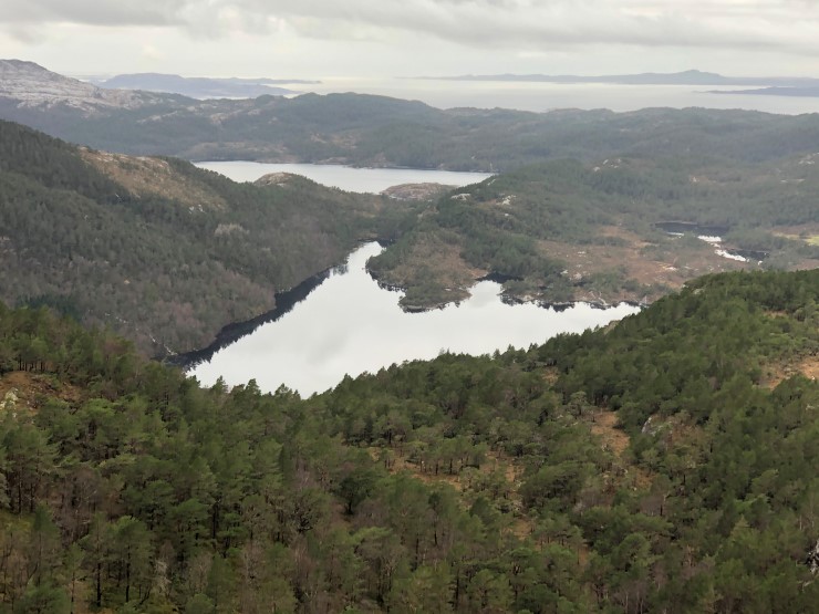 Frå tilbodsområdet som grunneigarane ønskjer verna kan ein sjå heilt ut i havet. Den vestvendte lia ved av Brosvikvatnet har vestnorsk regnskog og gamal lavlandsblandingsskog med fleire artar på den norske rødlista. 
