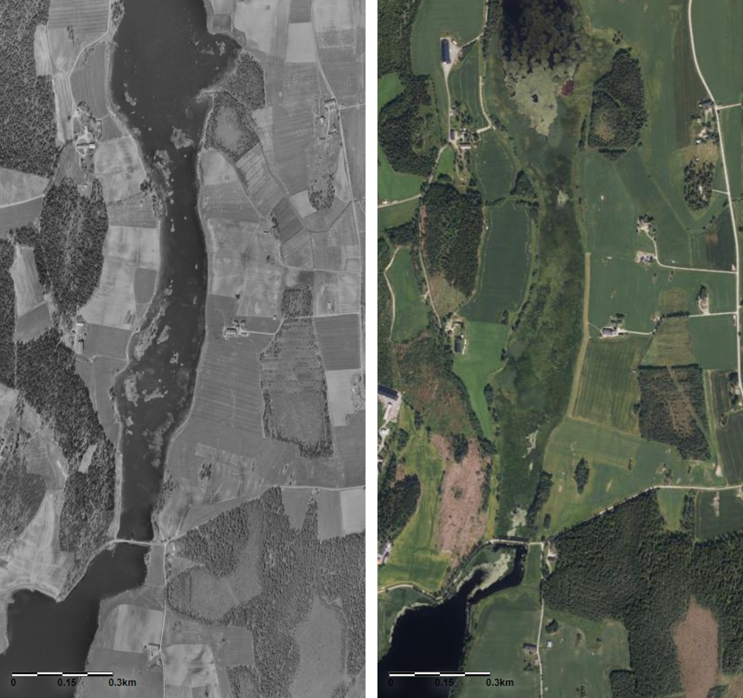 På femti år har deler av Gjølsjøen naturreservat grodd helt igjen. Bildet til venstre viser et flybilde over Gjølsjøen i 1965. Bildet til høyre viser et flybilde over samme område 2015, hvor åpent vann nå er tildekket av vegetasjon. 