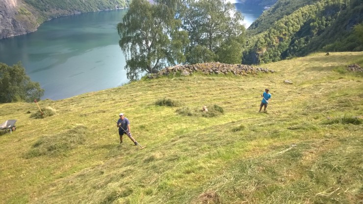 På Stigen vert slåtten gjort unna med handemakt. 