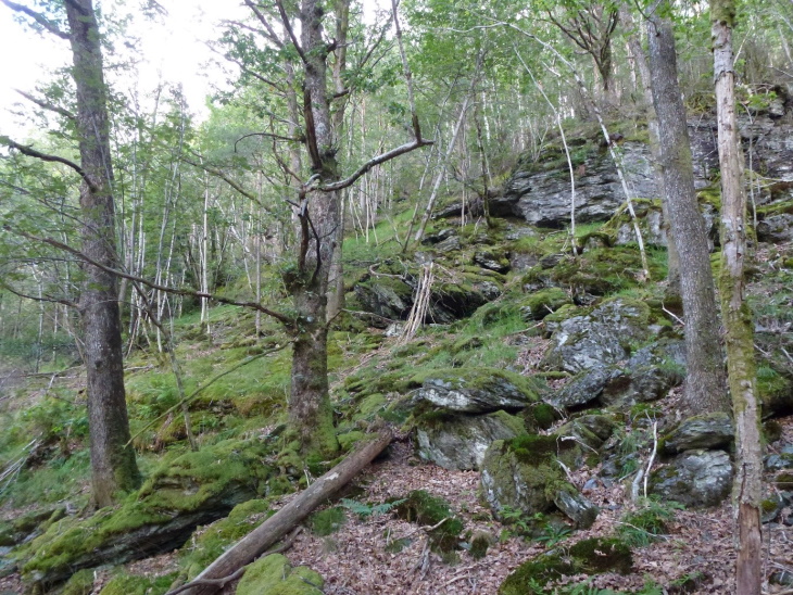 Berget i Vindafjord