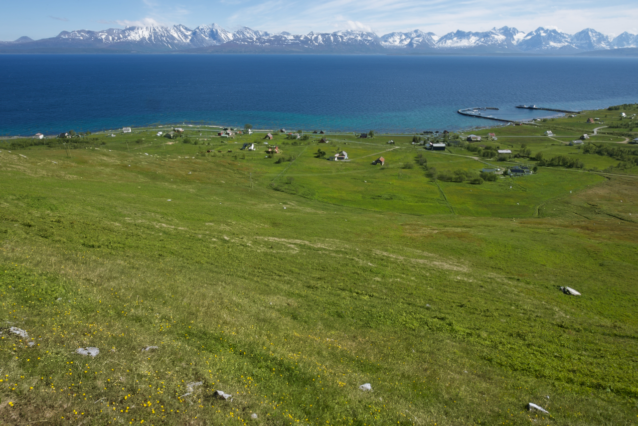 Naturbeitemark på Nordeidet - Reinøya