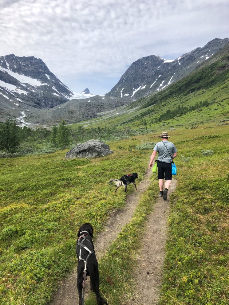 Folk og hund opp Steindalen. 