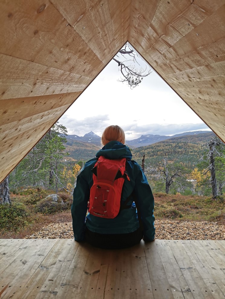 God utsikt mot Ånderdalen og Åndervatnet fra denne plassen. 