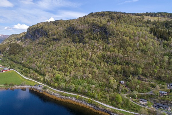 Brøskjalia. Foto: Øivind Leren. Brøskjalia ii.jpg