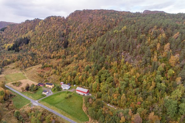 Li. Foto: Øivind Leren. Li ii.jpg