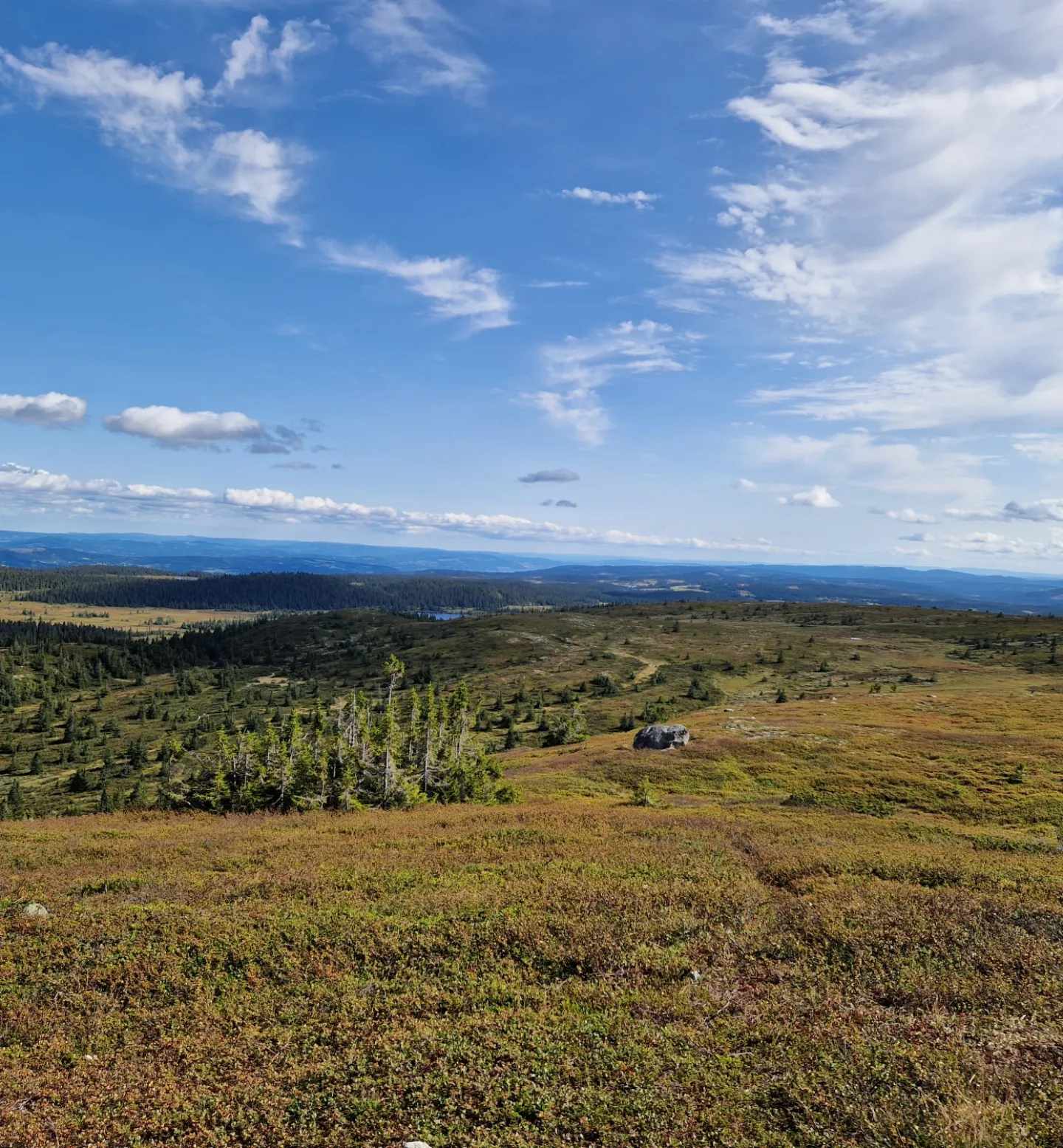 Fjellandskap, seterlandskap.