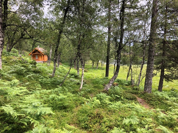 Det er ei relativt nybygd hytte ved Kudalsvatnet, om lag midt i verneområdet. Grunneigarane bêr med seg gass og proviant inn til hytta når dei brukar den. Sjølv med status som naturreservat kan dei framleis halde hytta vedlike. 