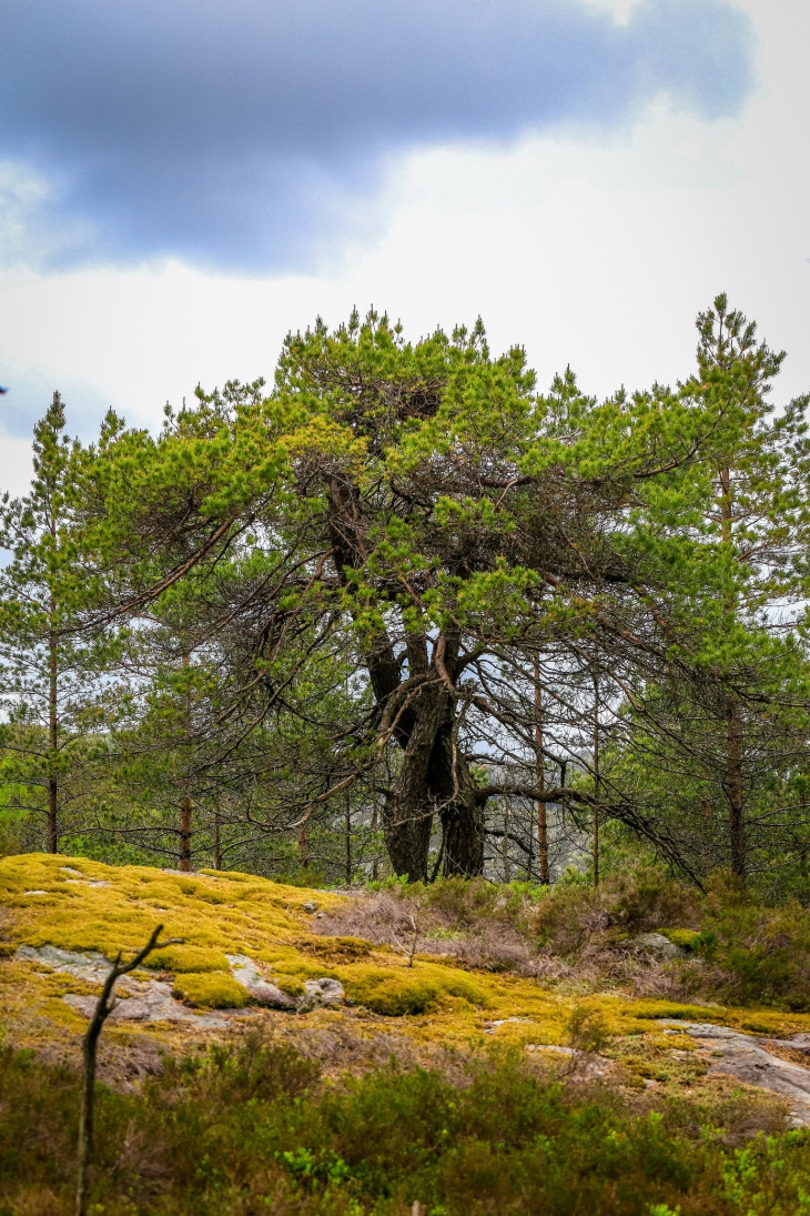 Einarvatnet i Lund og Flekkefjord kommunar.